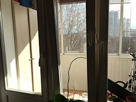 орхидея на подоконнике окна гостиной с балконной дверью на большой застекленный балкон квартиры молодоженов