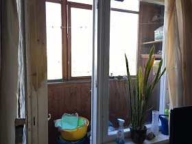 высокий комнатный цветок в горшочке, синяя лейка, хрустальная ваза и очиститель стекол на белом подоконнике окна с открытой дверью на застекленный балкон квартиры в Бибирево