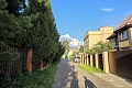 blog-image