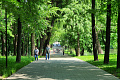 blog-image