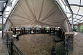 blog-image