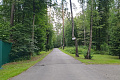 blog-image